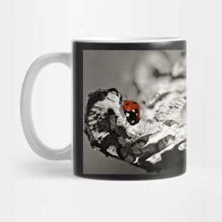 Ladybug on a stick macro Mug